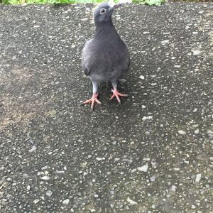 ekIKBFfAxvBE2LrcyQOGjoxztA9zqojOQy0qtmOV_nA